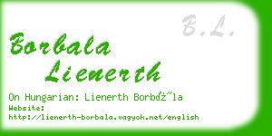 borbala lienerth business card